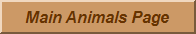 Main Animals Page